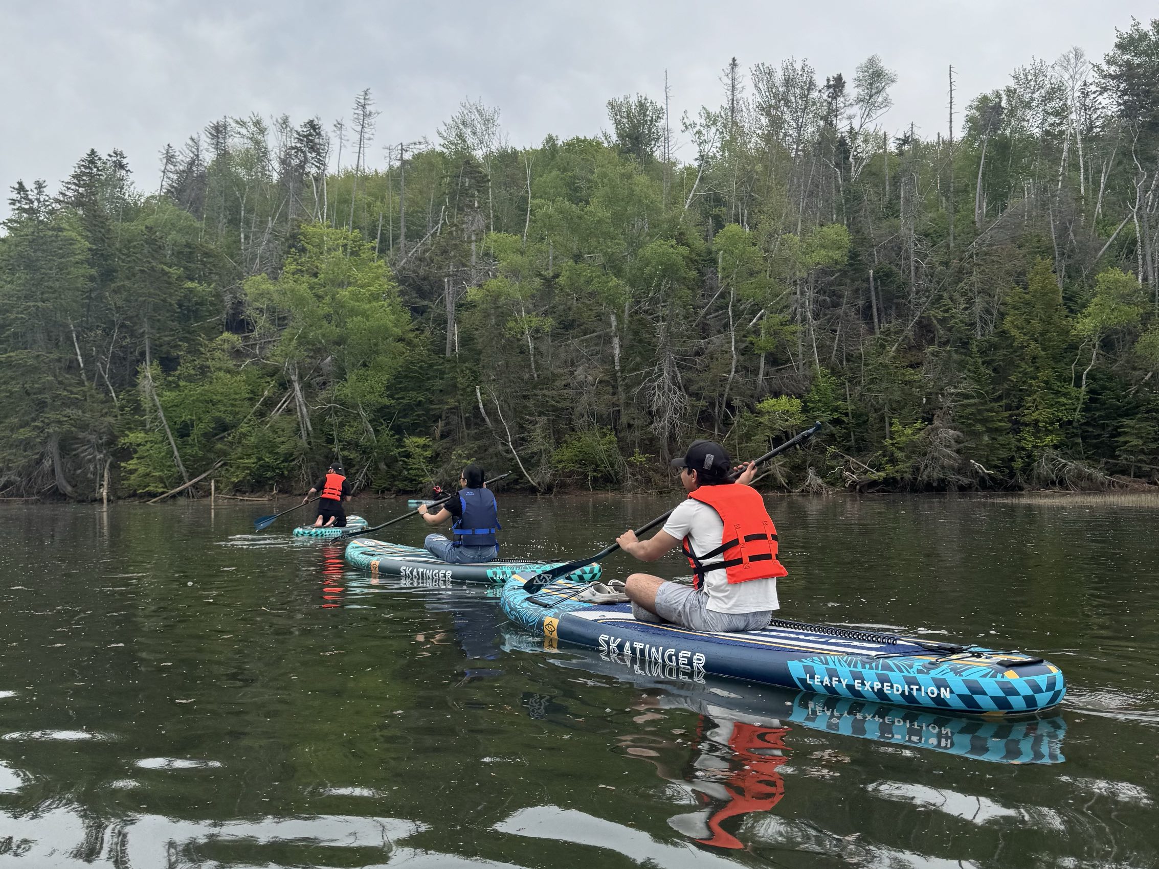 Group paddling inflatable boards in life jackets along a calm forest-lined river