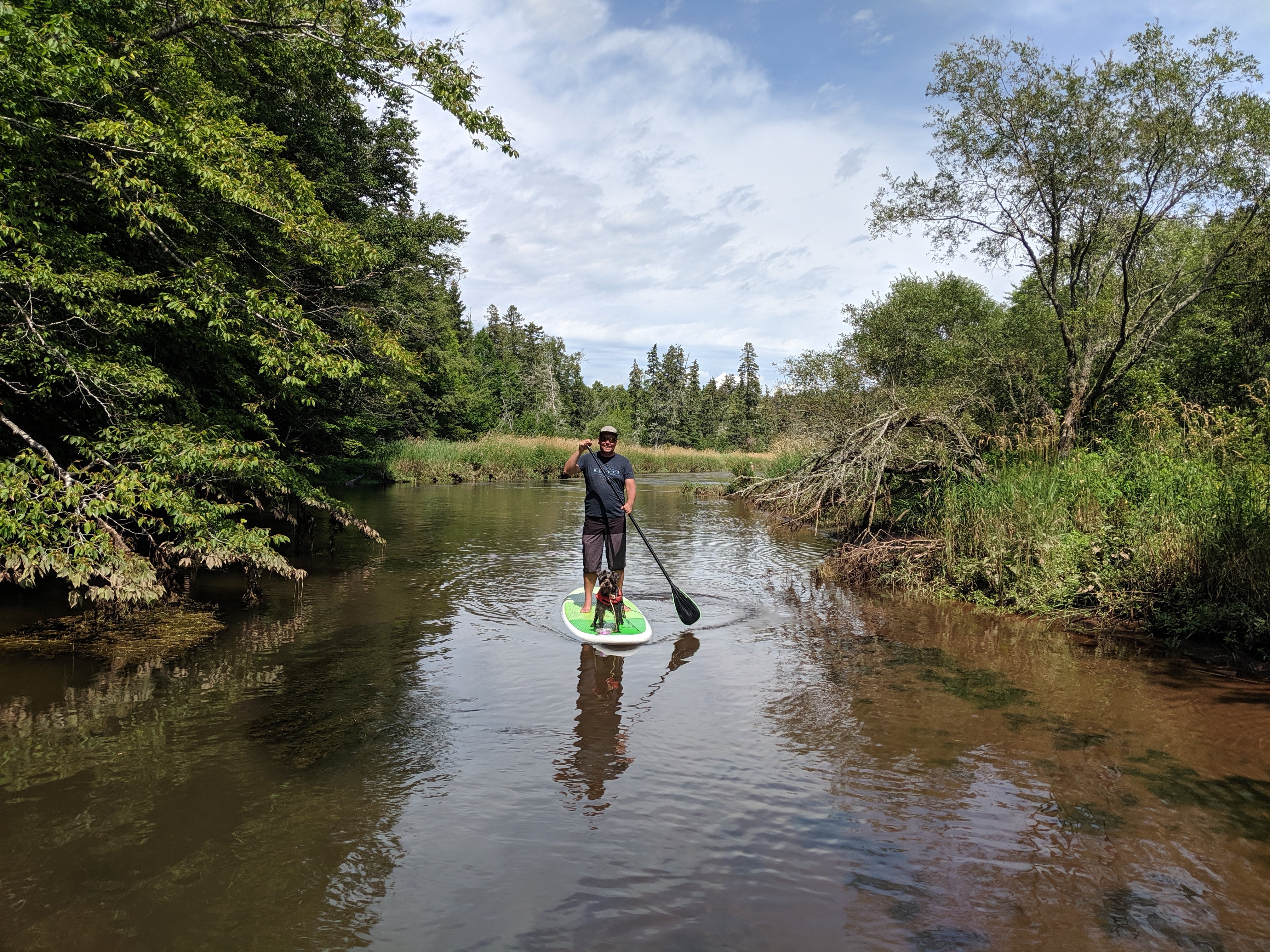 Person paddleboarding with a dog, representing easy delivery